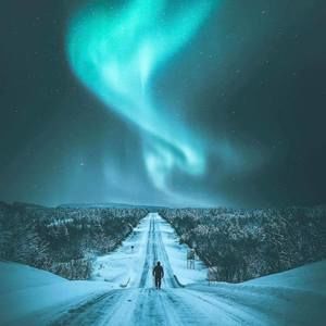 Meet your Posher, Kitty